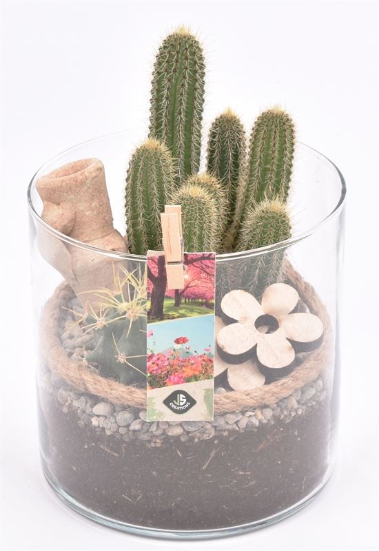 Glas cilinder 15cm/H 15cm, D 15