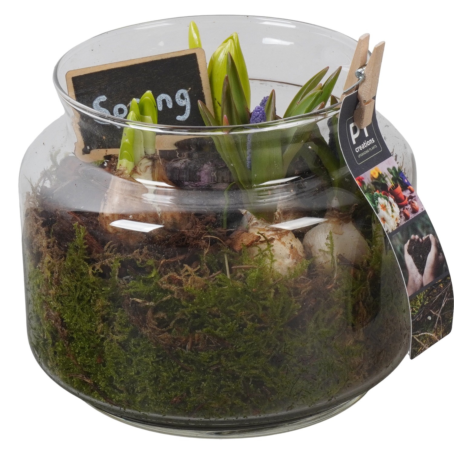 PTBM3944 Arrangement Flower Bulbs Mix in glazen vaas, D 16