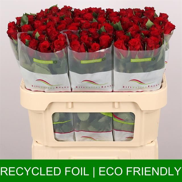 Роза од. Рэд Торч 70, шт. Роза од. Рэд Торч 70, шт.