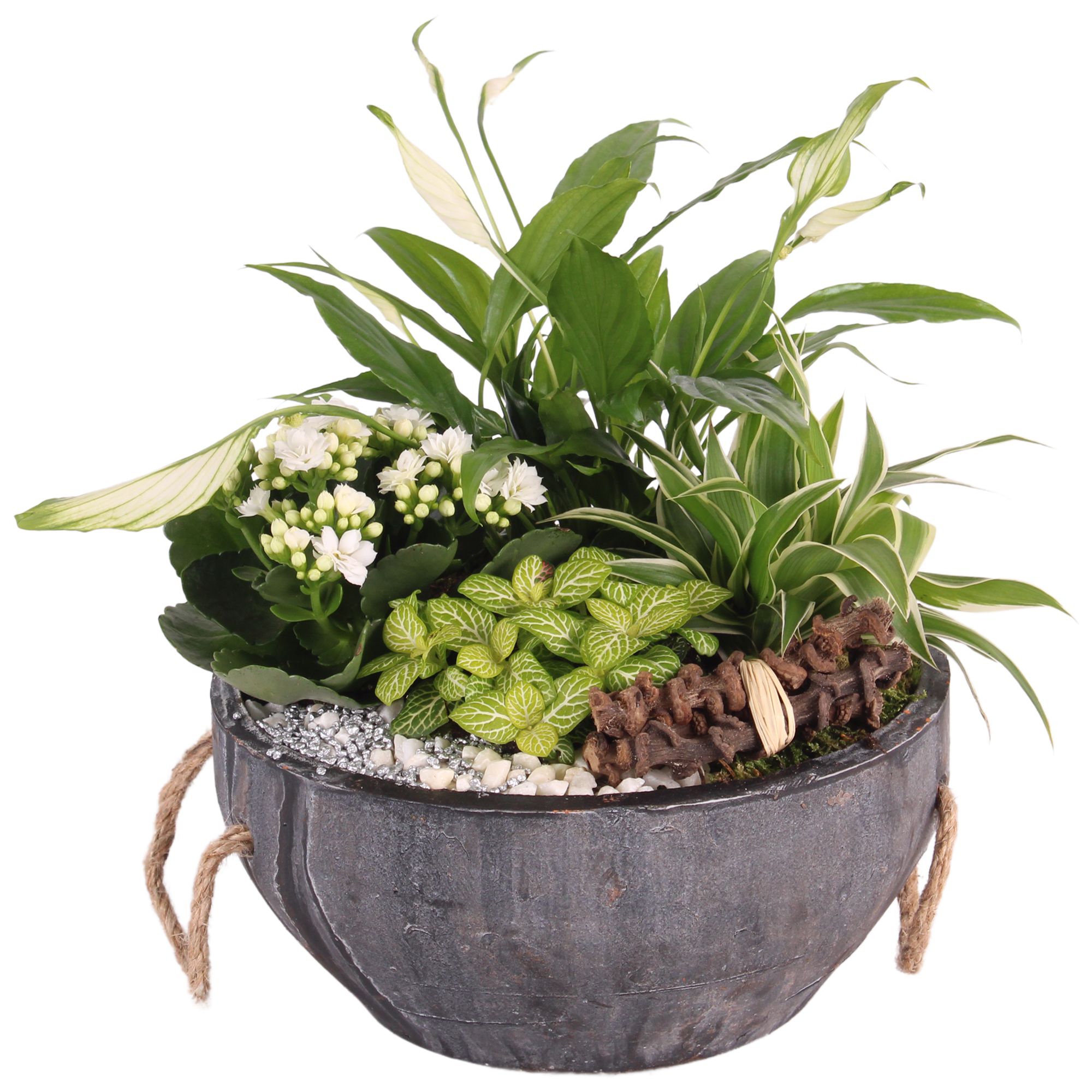 Yearround Arr. Indoor Concrete Pot with Rope Handle Ø24cm 4PP, D 24