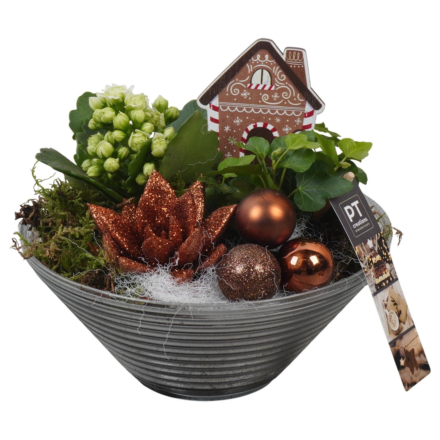 PTCHB9830 Arrangement Christmas Bronze in glas schaal, D 19 cm