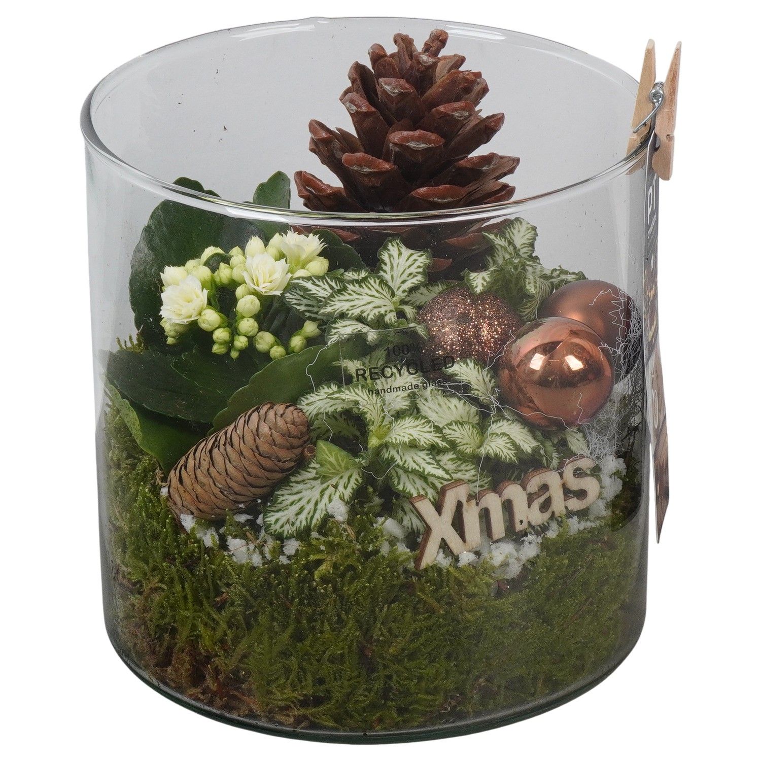 PTCHB9874 Arrangement Christmas Bronze in glazen pot, D 15 cm