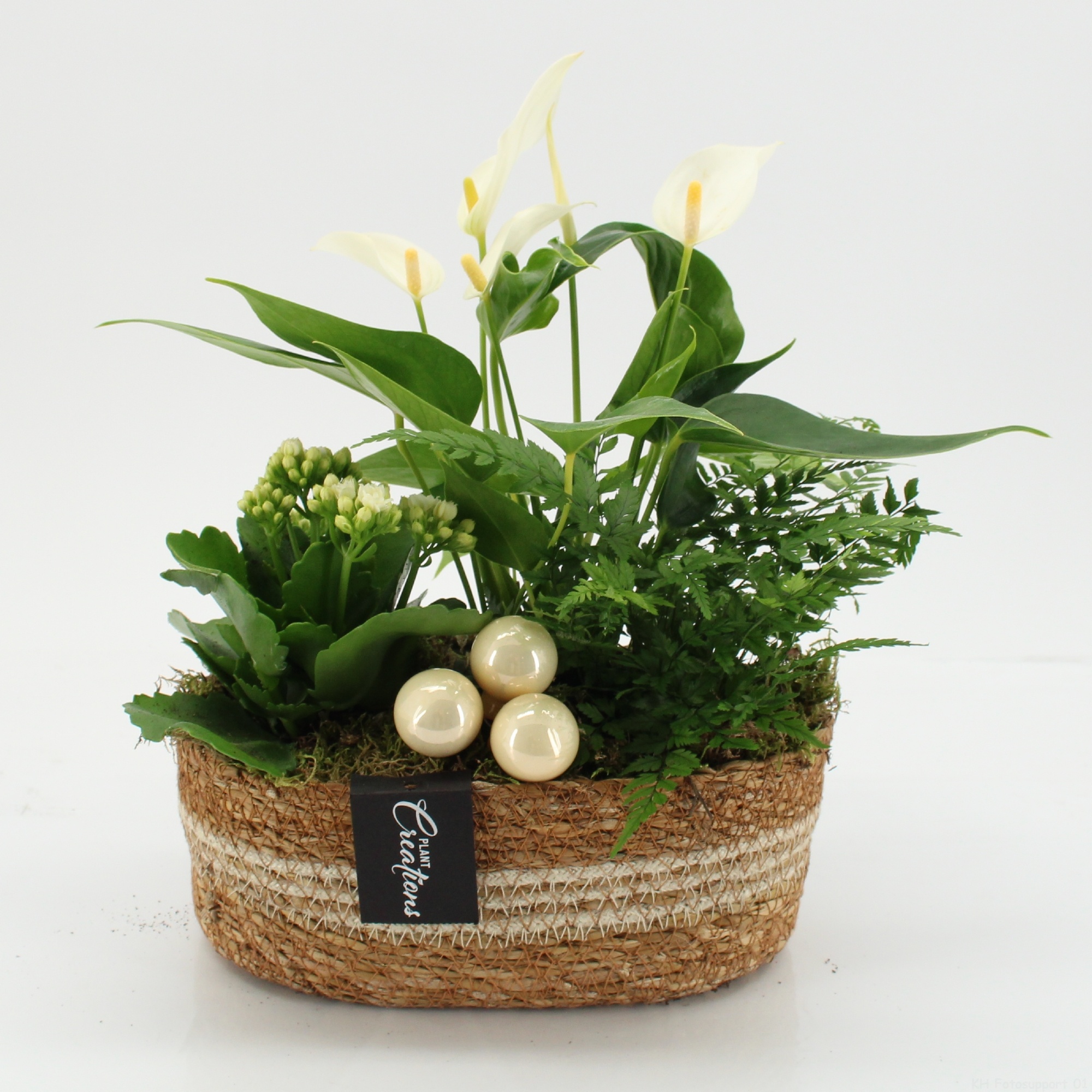 XMASXL-2526 Kerst XL, D 24 cm XMASXL-2526 Kerst XL, D 24 cm