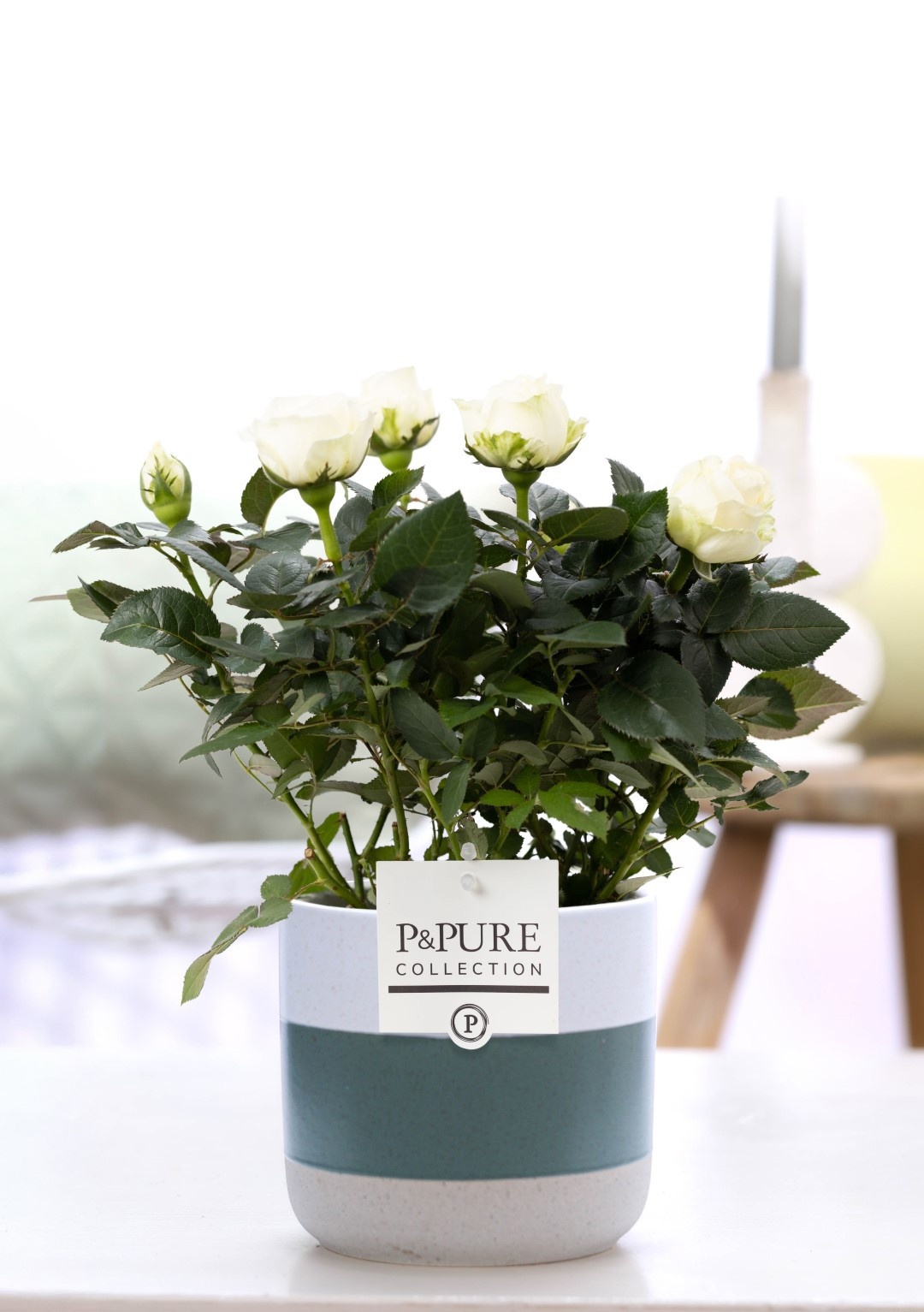 Rosa white in P&PURE Lauren ceramics, D 12