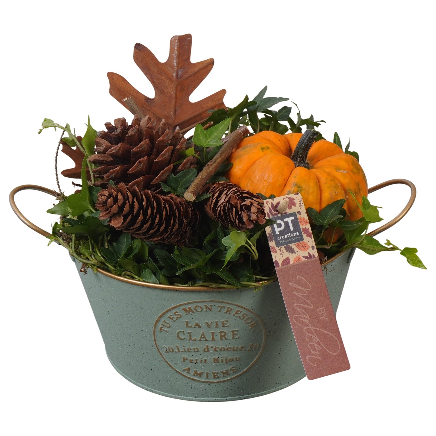 PTSF8217 Arrangement Kalebas hedera in metalen pot, D 20 cm