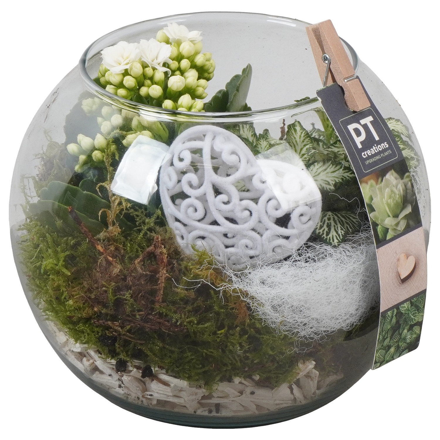 PTVMG4987 Arrangement Valentines-Mothersday in glas bol, D 16