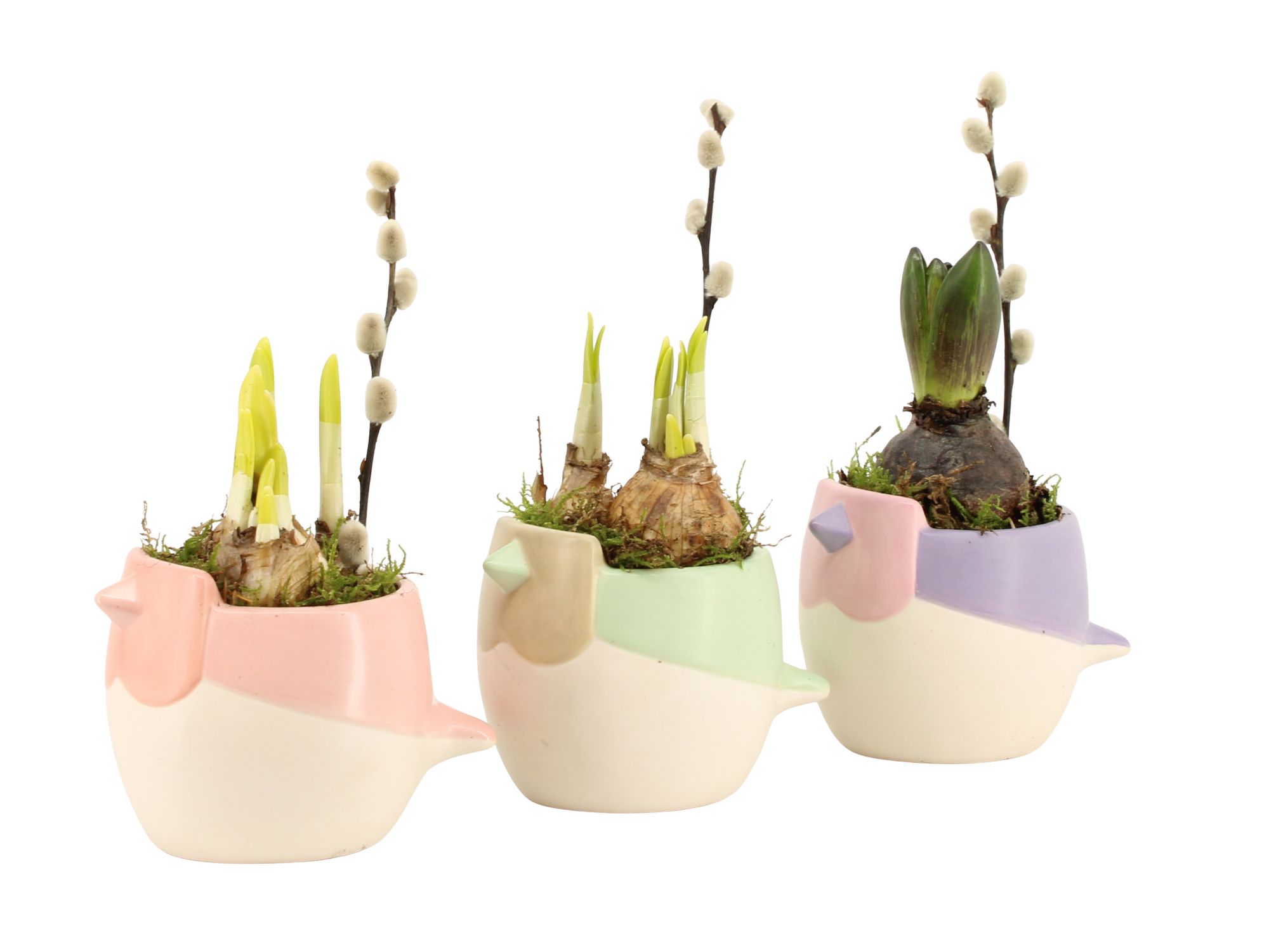 11649: Outdoor spring arrangement, D 9 cm