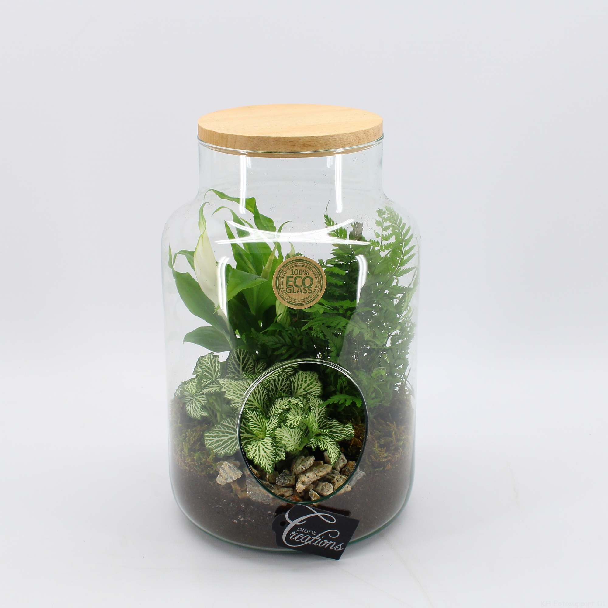 GRCR-2611 Green Essentials terrarium, D 19