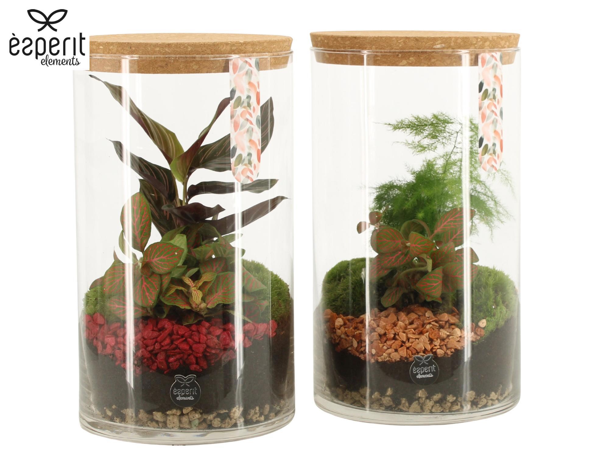 41802: Recreate terrarium, D 14