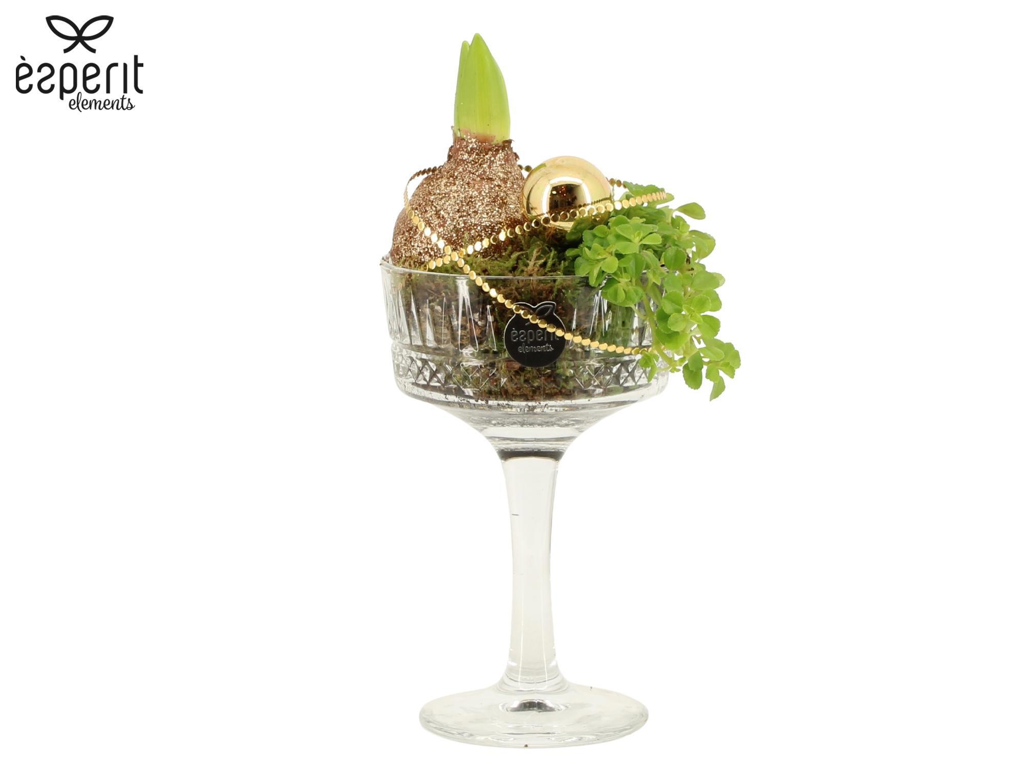 62054: X-mas arrangement, D 10