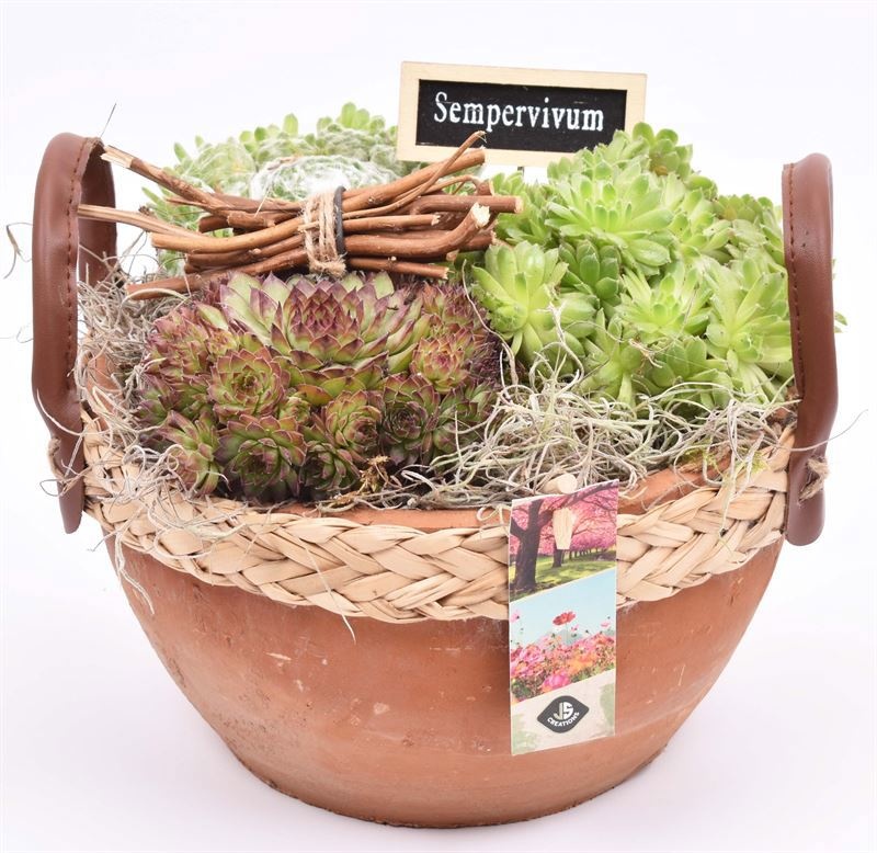 Cement schaal br. met wilgrand 18CM, D 18