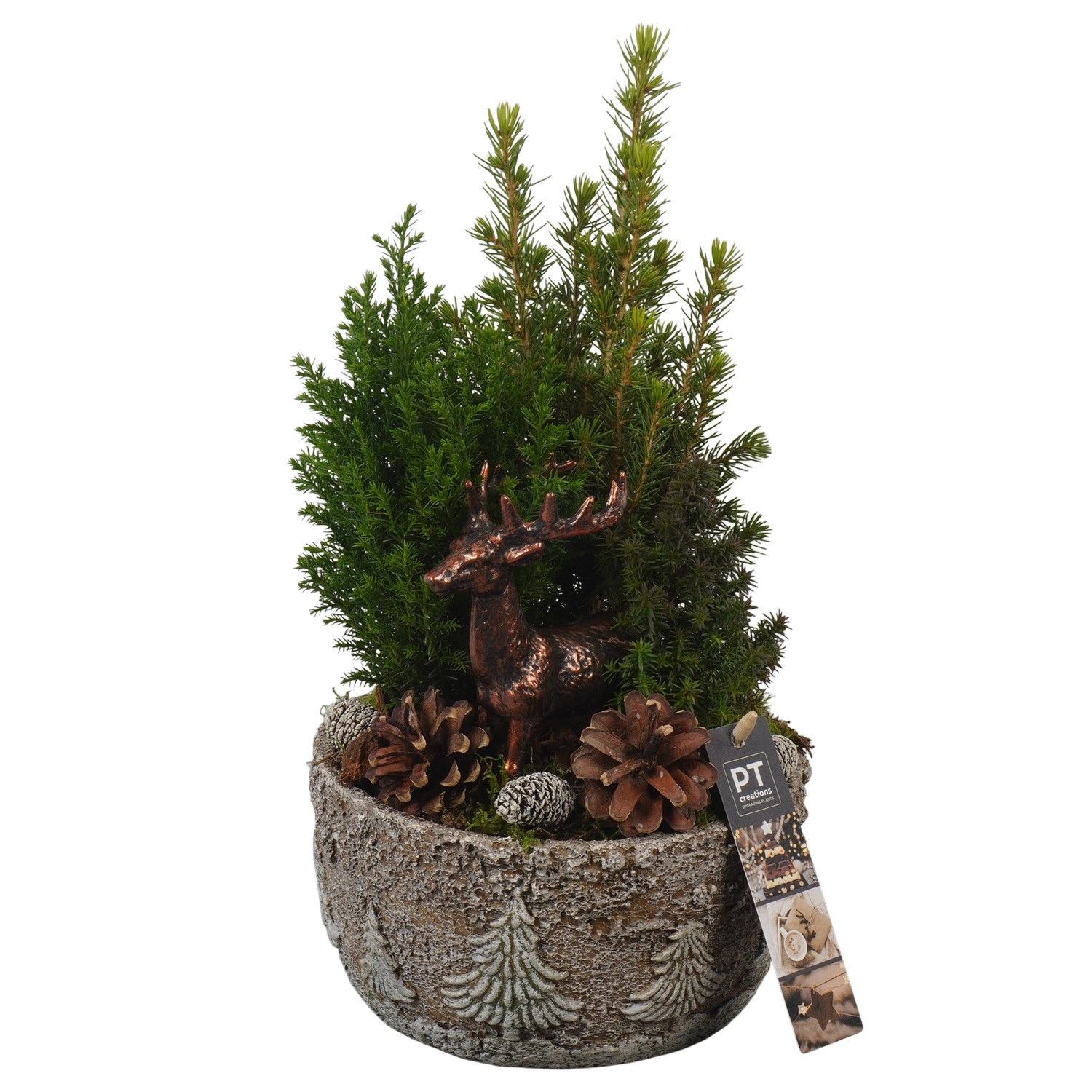 PTCWW6926 Arrangement Winter in beton schaal, D 18 cm