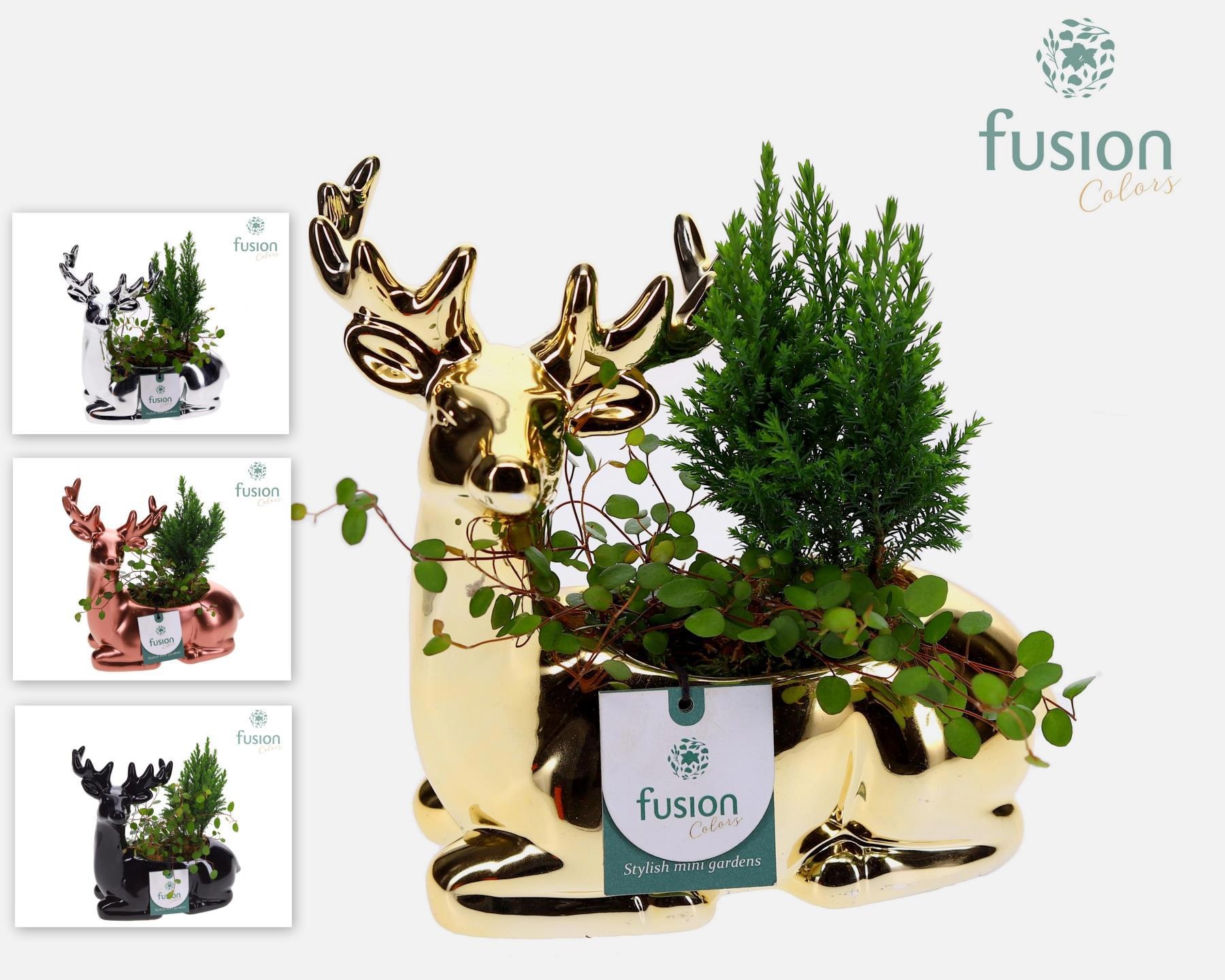 Keramiek Rendier zittend met arrangement, D 20