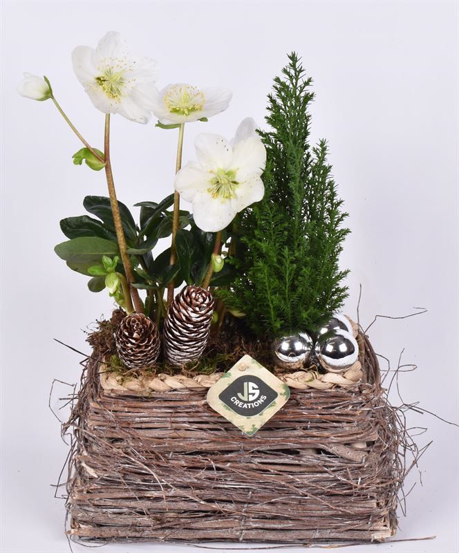 Natuur mand 18x12cm, D 22 cm