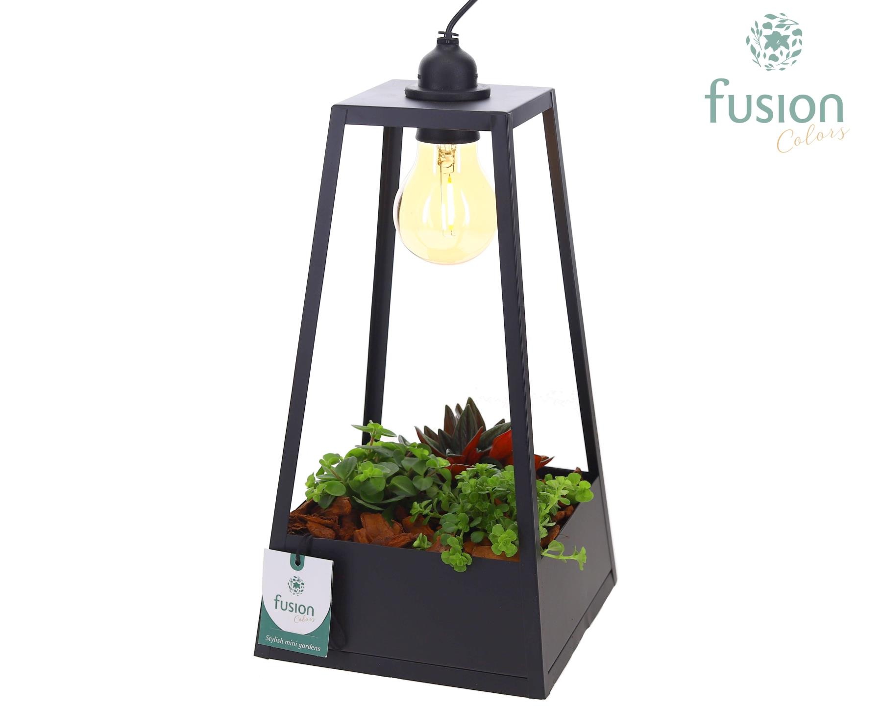 Lantaarn metaal zwart met verlichting met groene planten, D 18