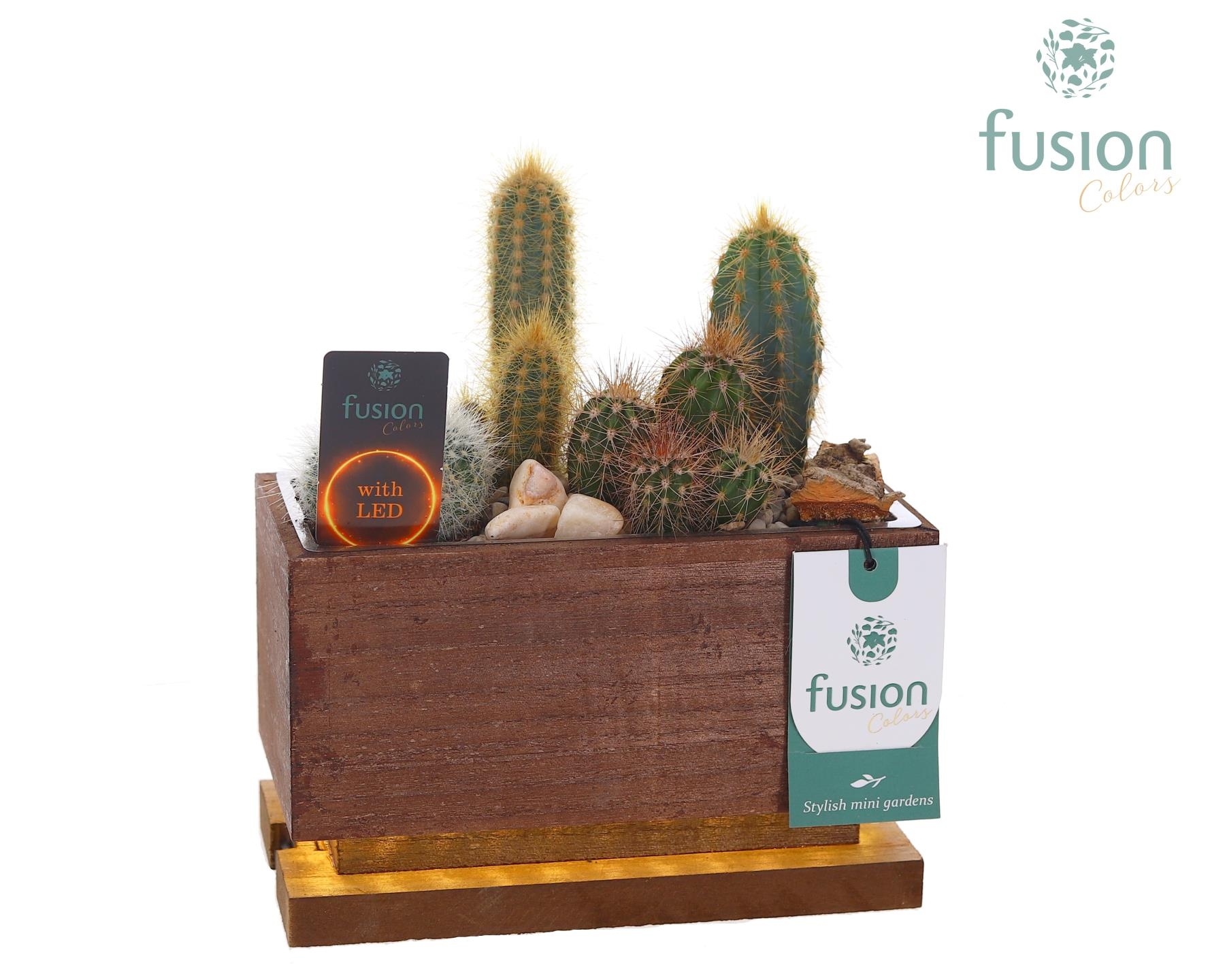 The Green Lighting Garden LED Small lang met Cactus, D 19