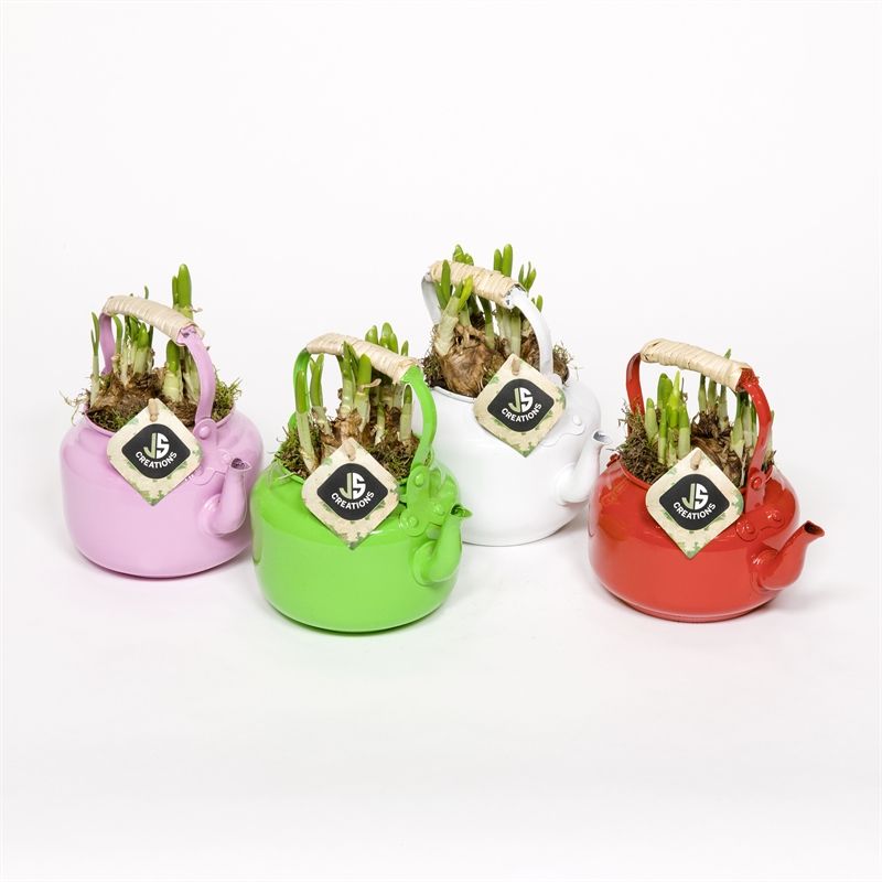 Zink thee pot in 4 kleuren mix, D 12 cm