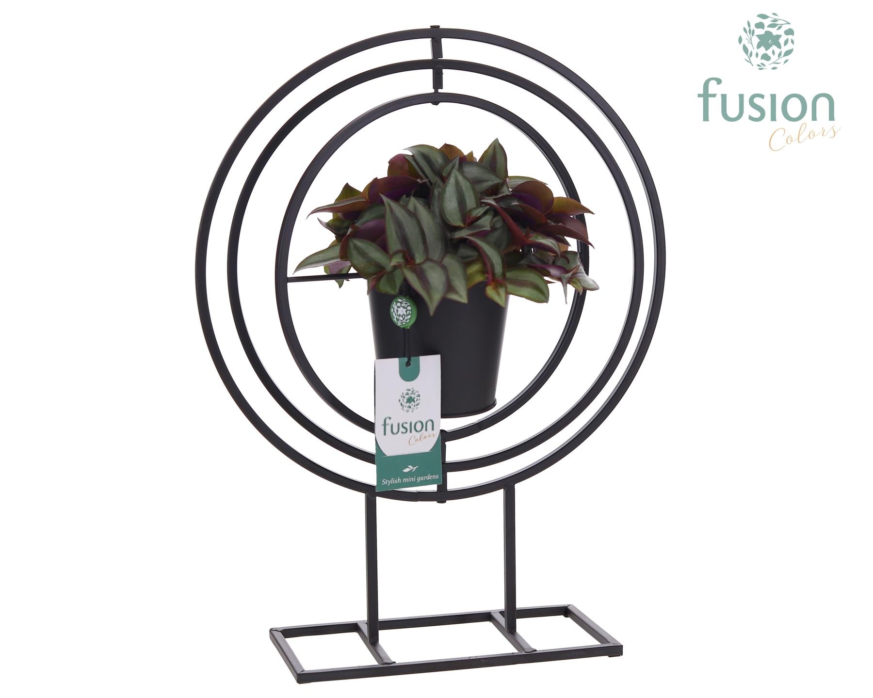 Globe metaal zwart Large met Tradescantia, D 32