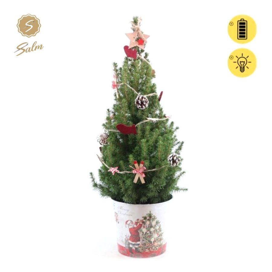 Picea gl. 'December'® P19 in Zinc Santa + Winterlight-Ski + Star on Loop, D 21 cm