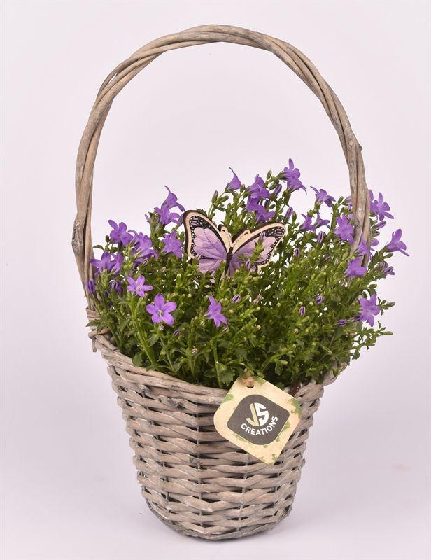 Wilg hengselmand gy 17cm, D 15