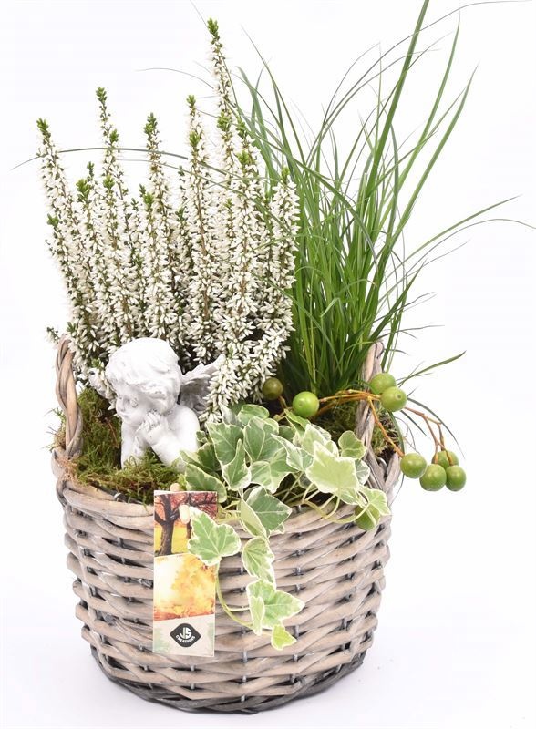 Wilg mand grijs met oor 18cm, D 18