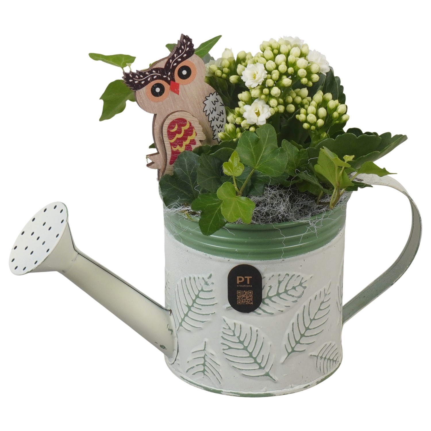 PTHI3389 Arrangement Autumn Indoor in metalen gieter, D 11