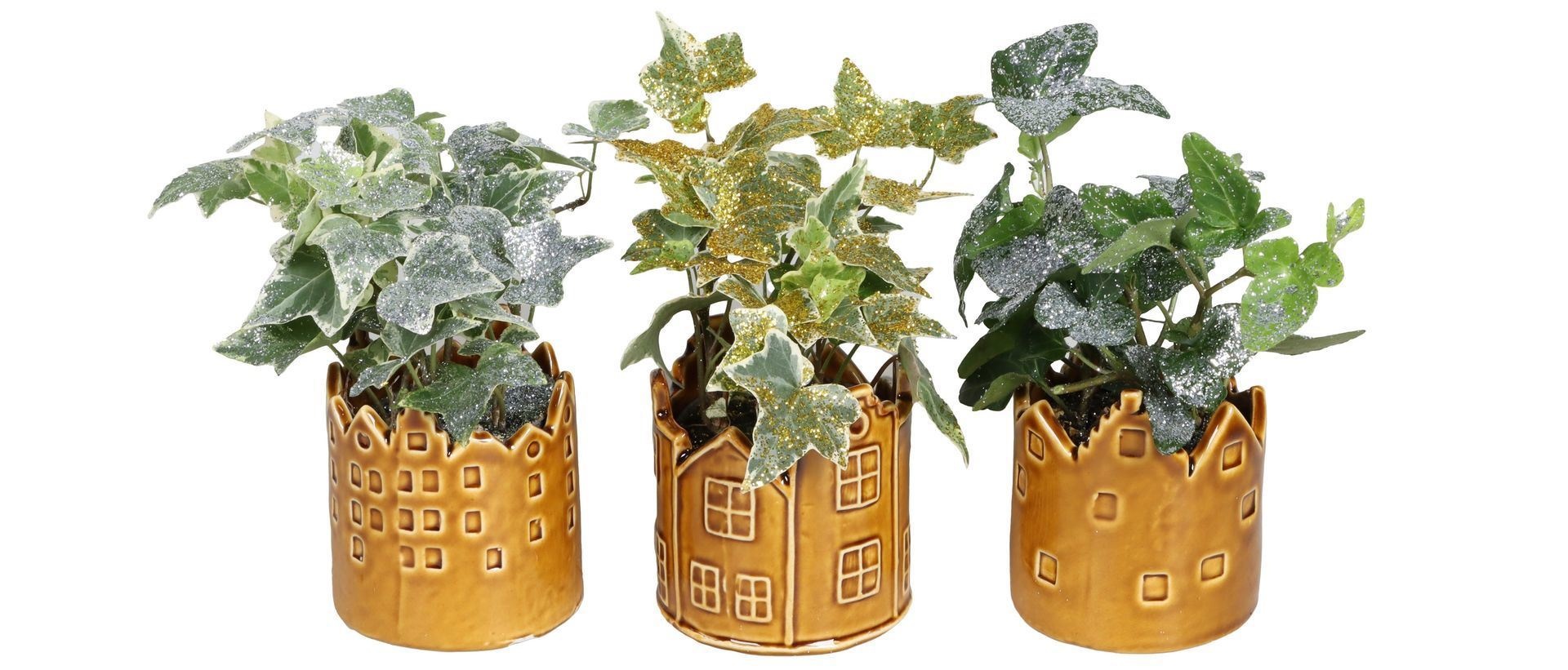 L 67451 With Hedera Helix Mix Glitter 6 cm, D 6