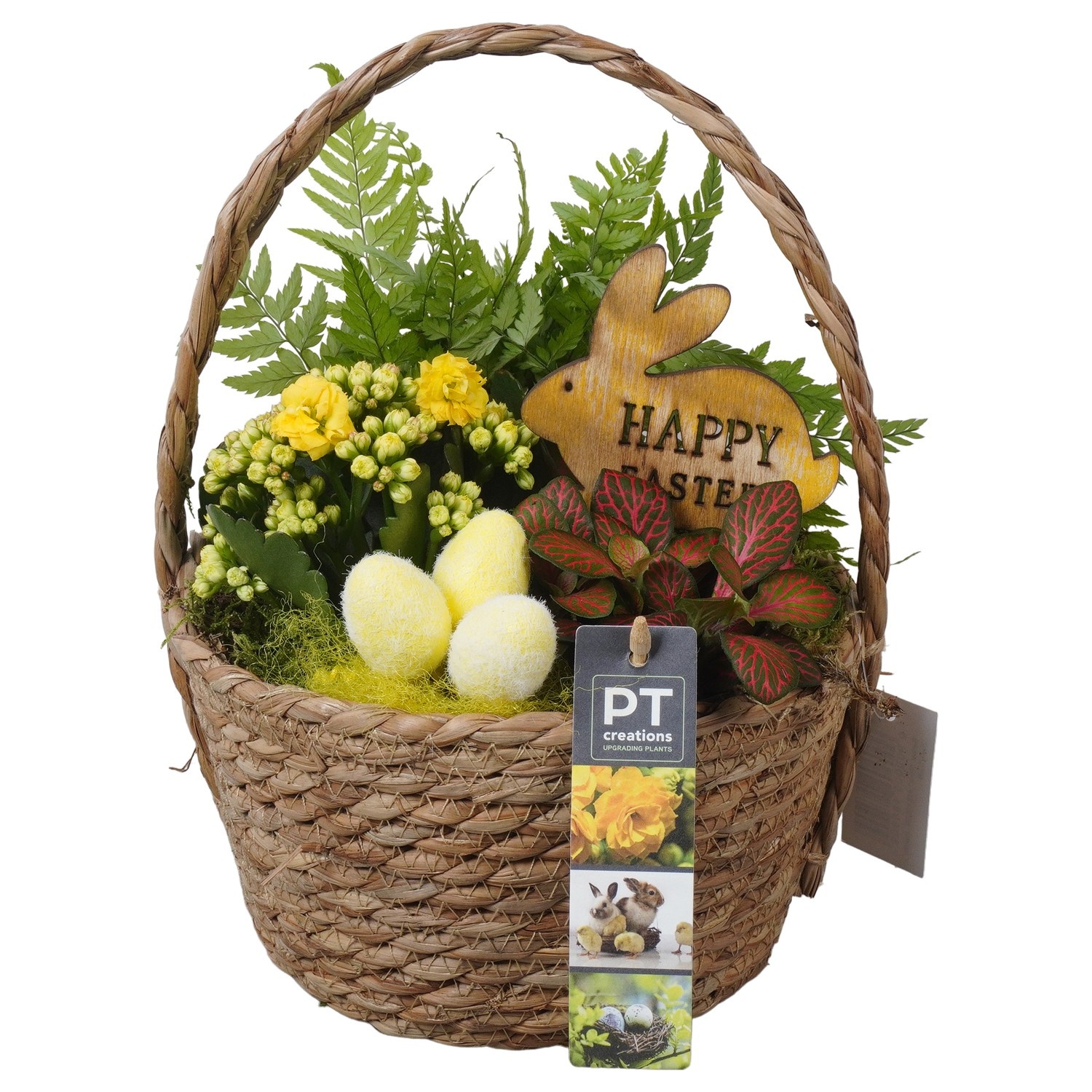 PTPB6547 Arrangement Easter in rieten mand, D 18
