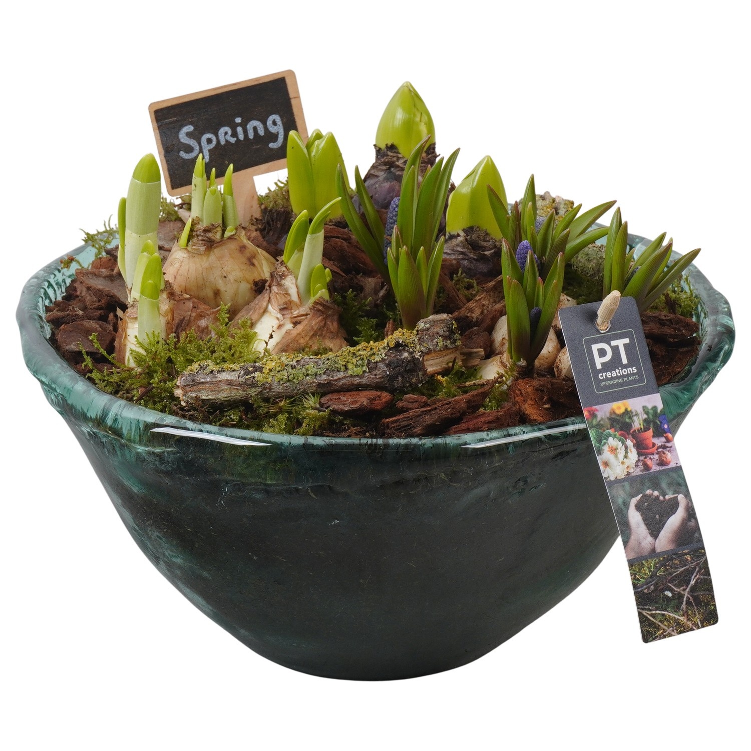 PTBM3957 Arrangement Flower Bulbs Mix in glas schaal, D 26