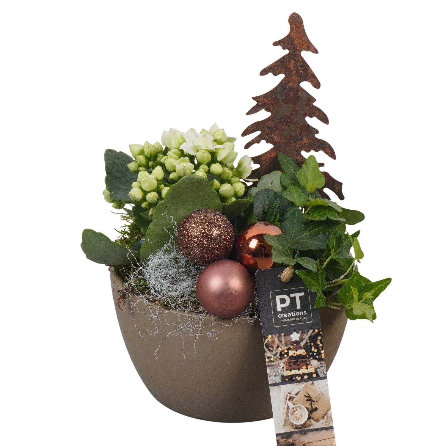 PTCHB9724 Arrangement Christmas Bronze in keramiek schaal, D 14 cm
