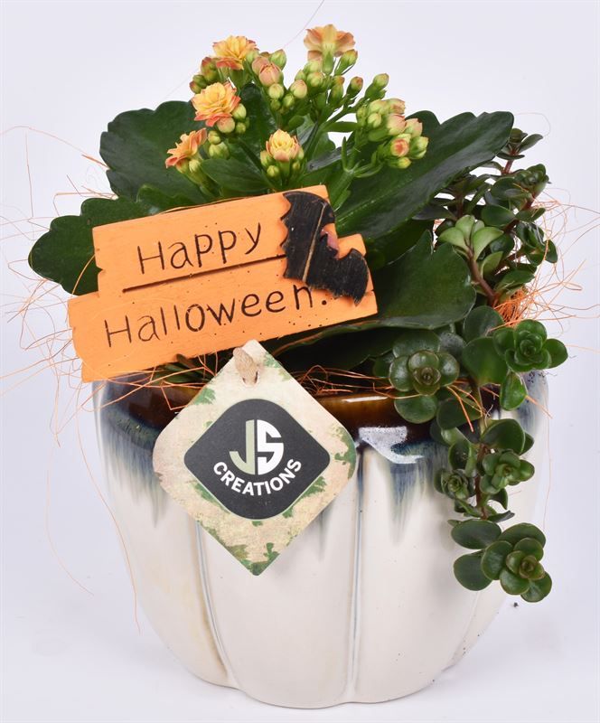 Keramiek pot creme 13.6cm, D 14