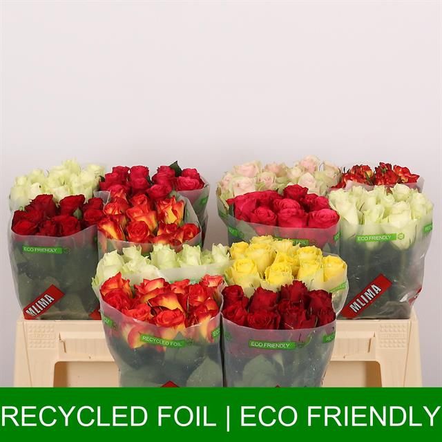 Роза од. Микс в баке 40, шт.