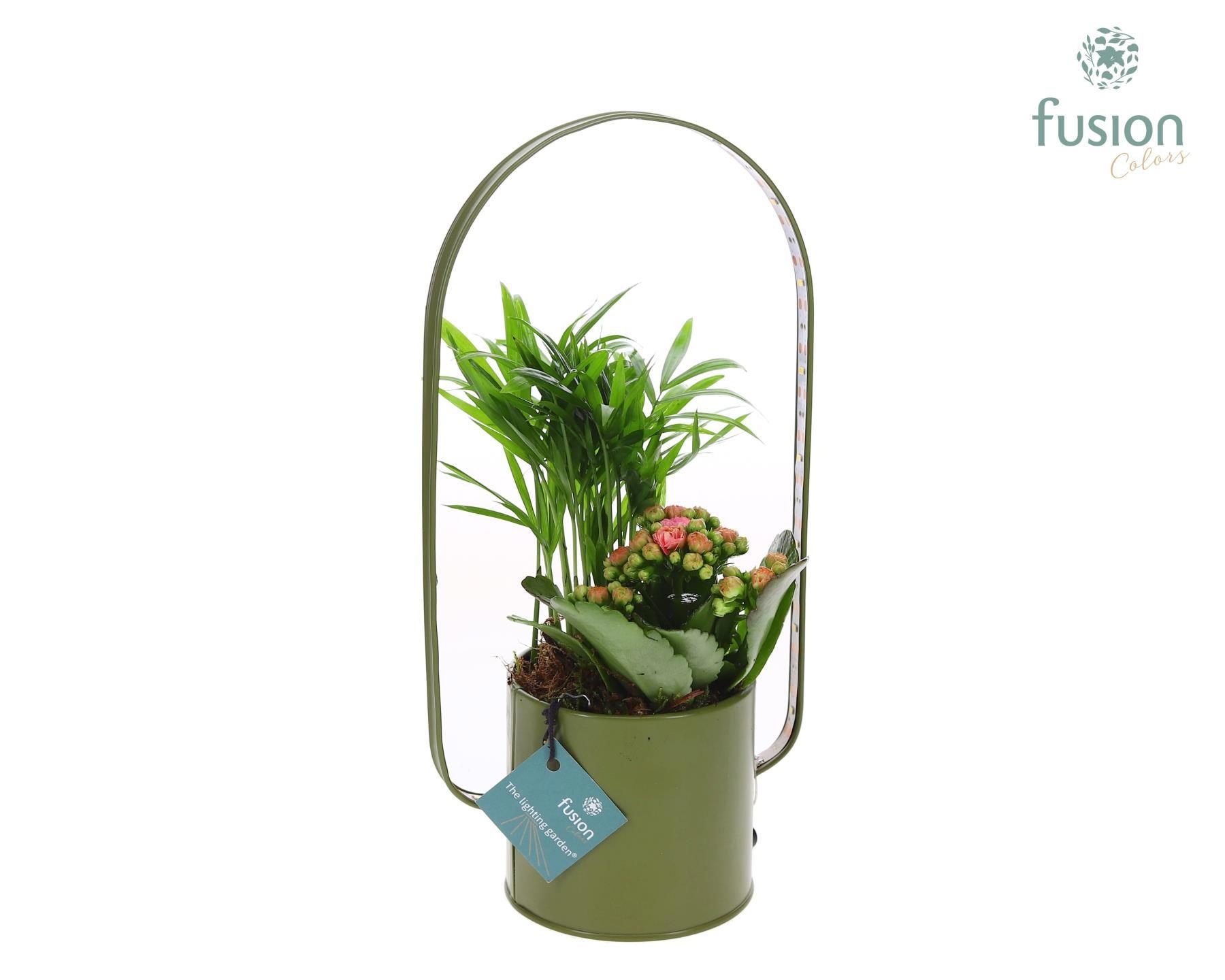 Zinken planter met LED verlichting en Arrangement, D 9 cm
