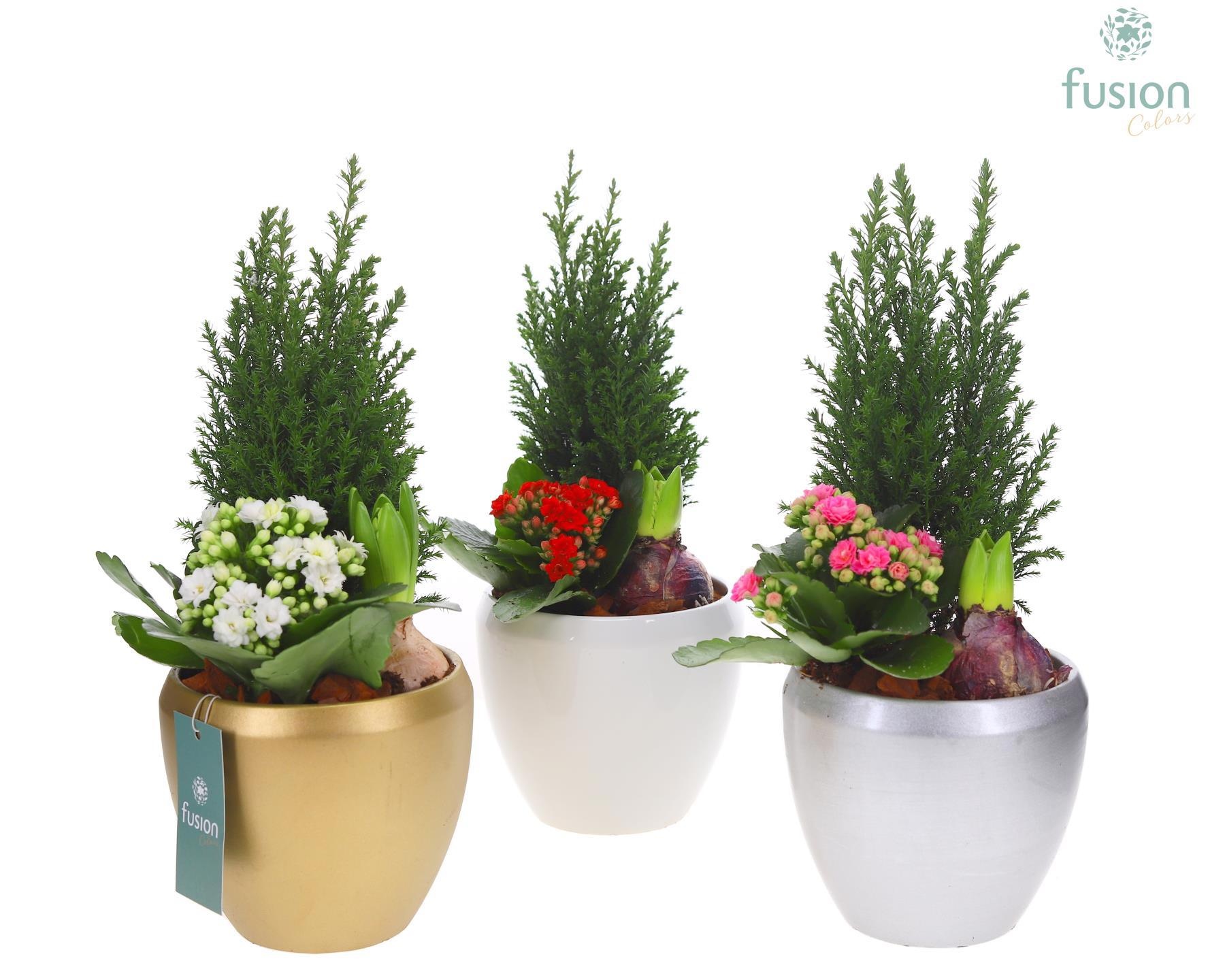 Keramiek pot met arrangement, D 15