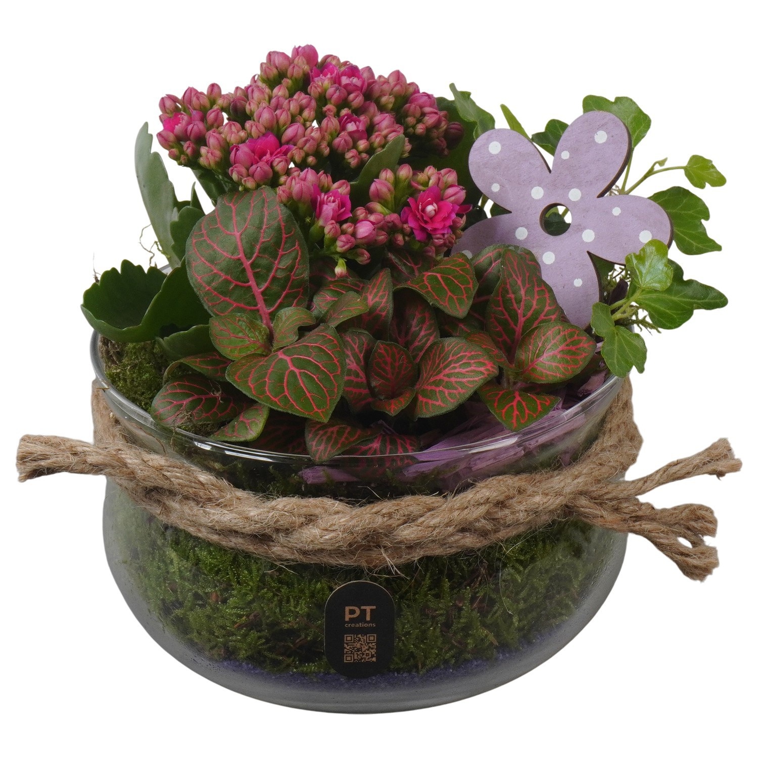 PTIG2624 Arrangement Indoor in glas schaal, D 16