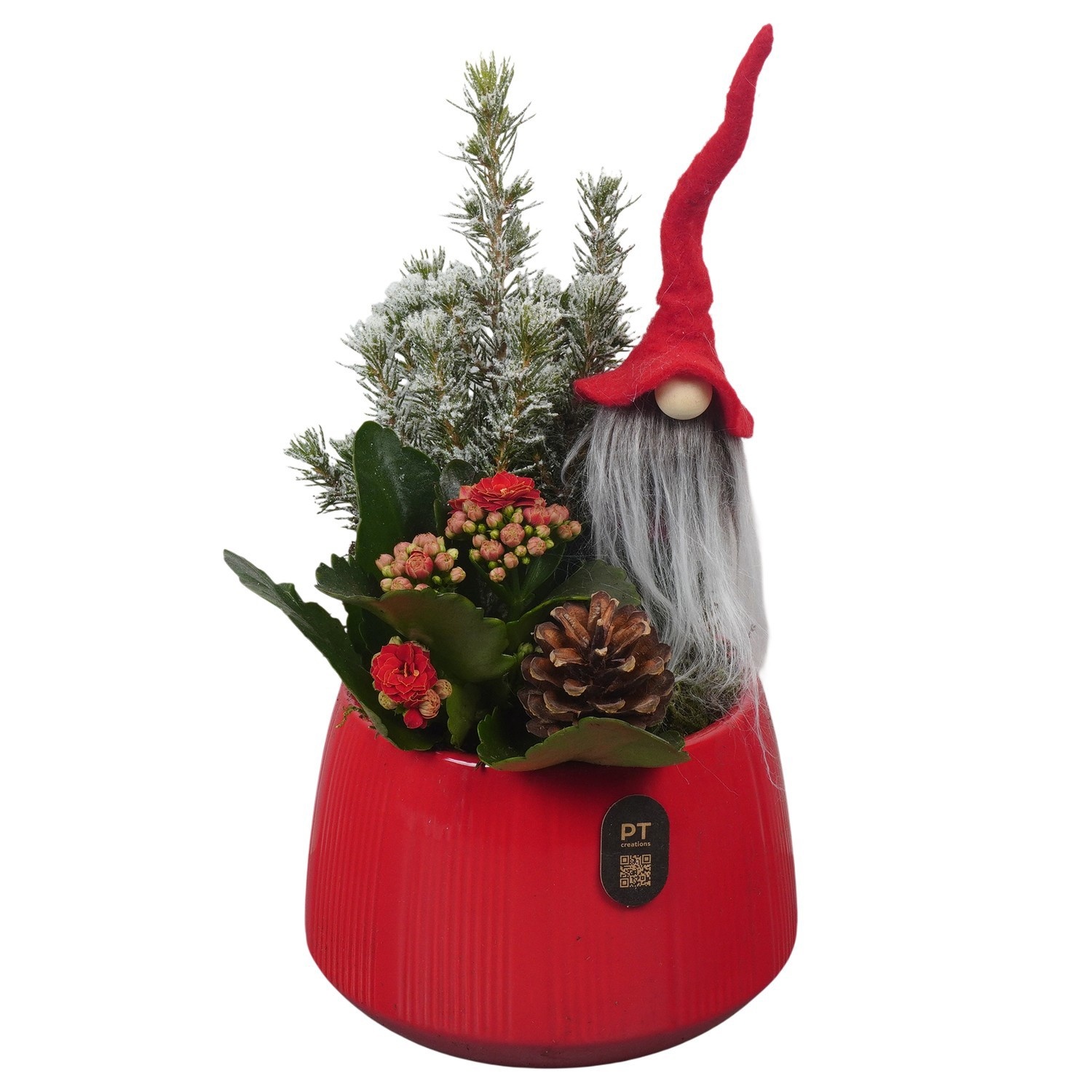 PTCHR9562 Arrangement Christmas Red in keramiek pot, D 14
