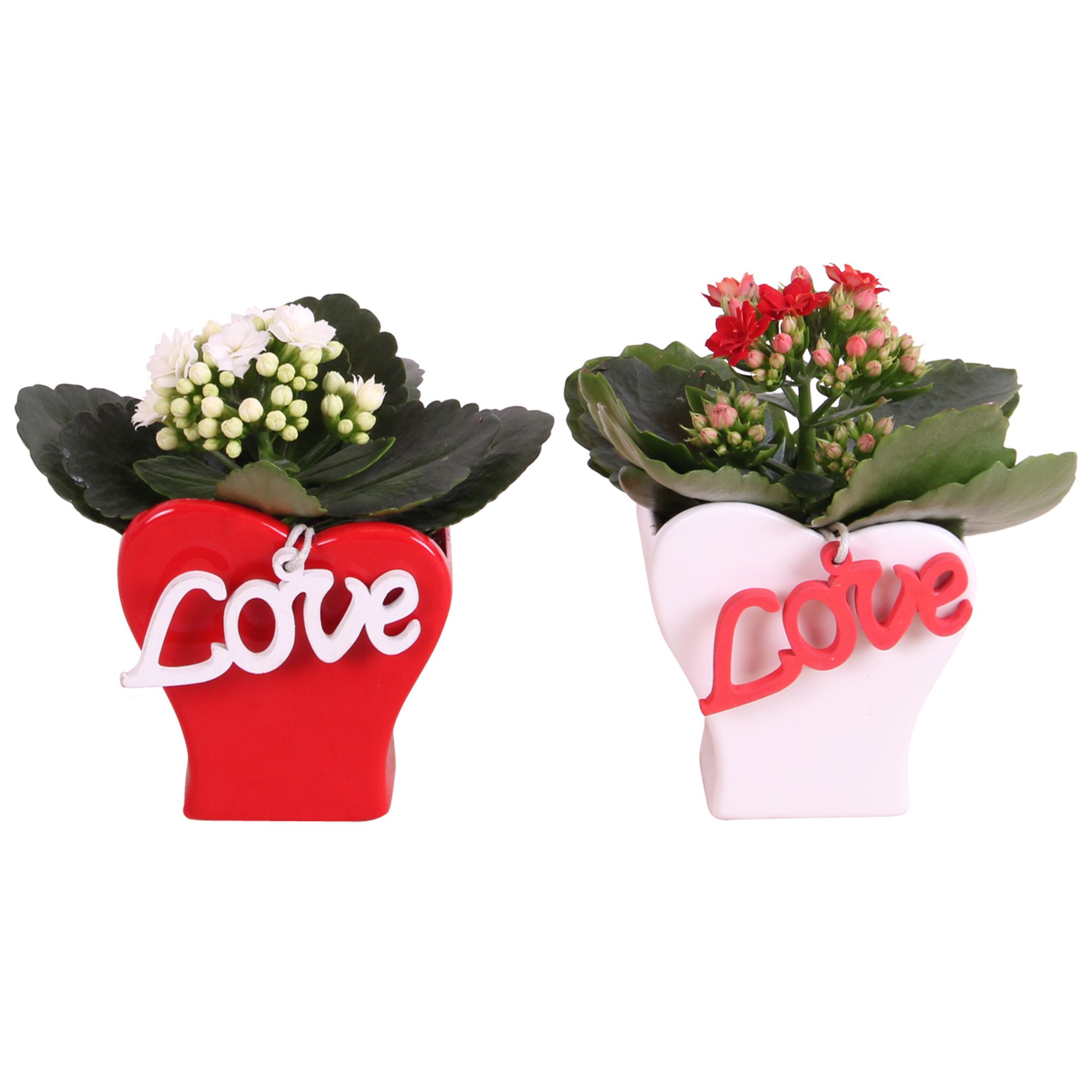 Valentine Arr. Indoor Ceramic Heartshape Vase Red/White Ø09cm 1P, D 9