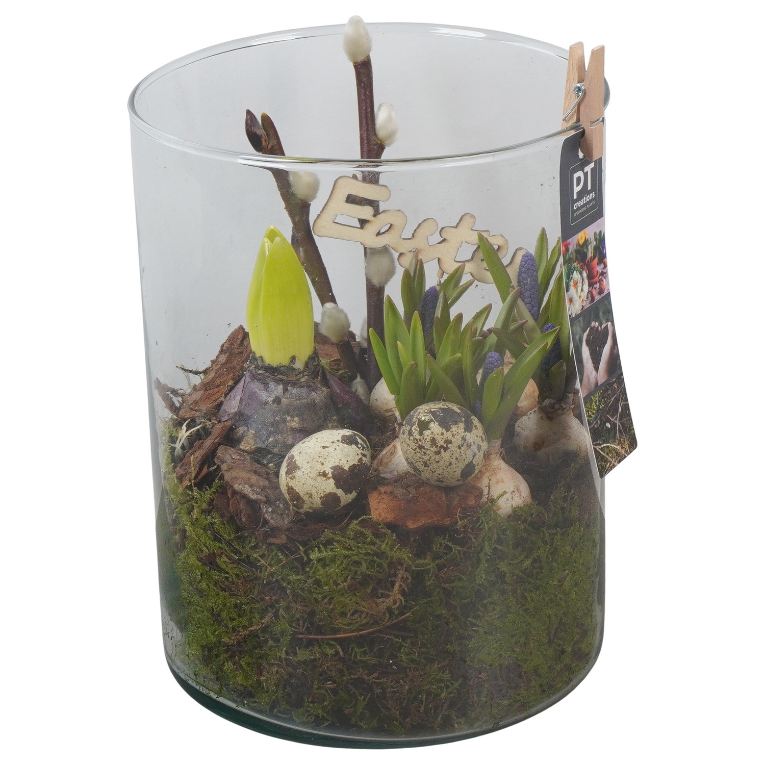 PTBMP5756 Arrangement Easter Bulbs Mix in glazen vaas, D 15