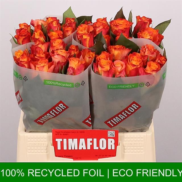 Роза од. Марио! 40, шт.