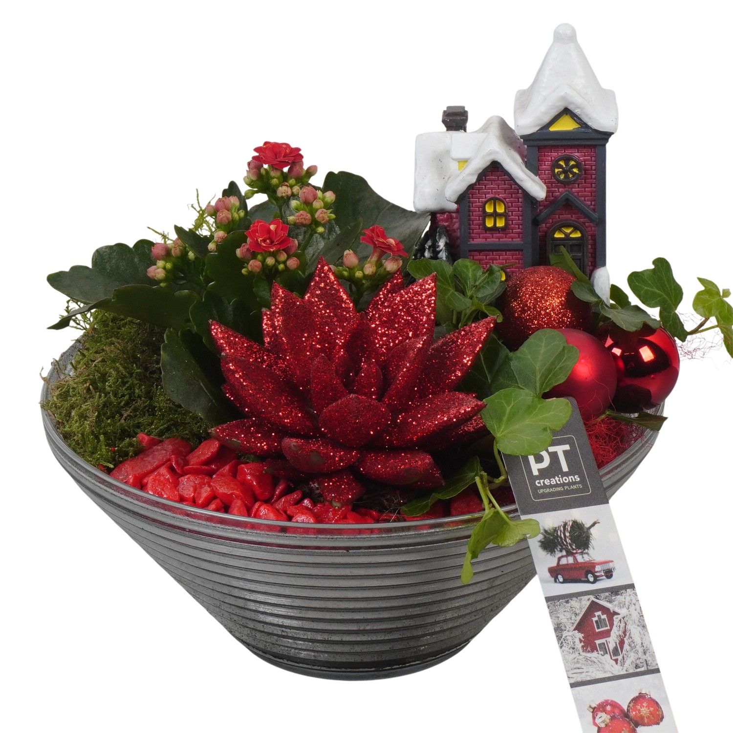 PTCHR7420 Arrangement Christmas Red in glas schaal, D 19 cm