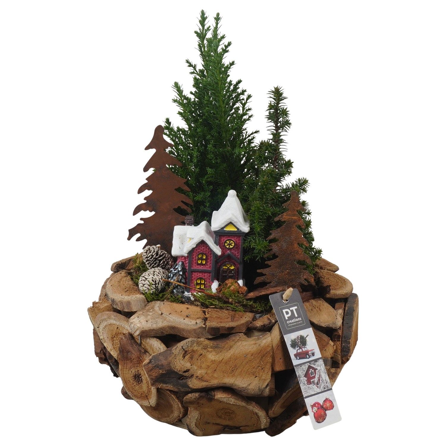 PTCWW6864 Arrangement Winter in houten bak, D 24 cm
