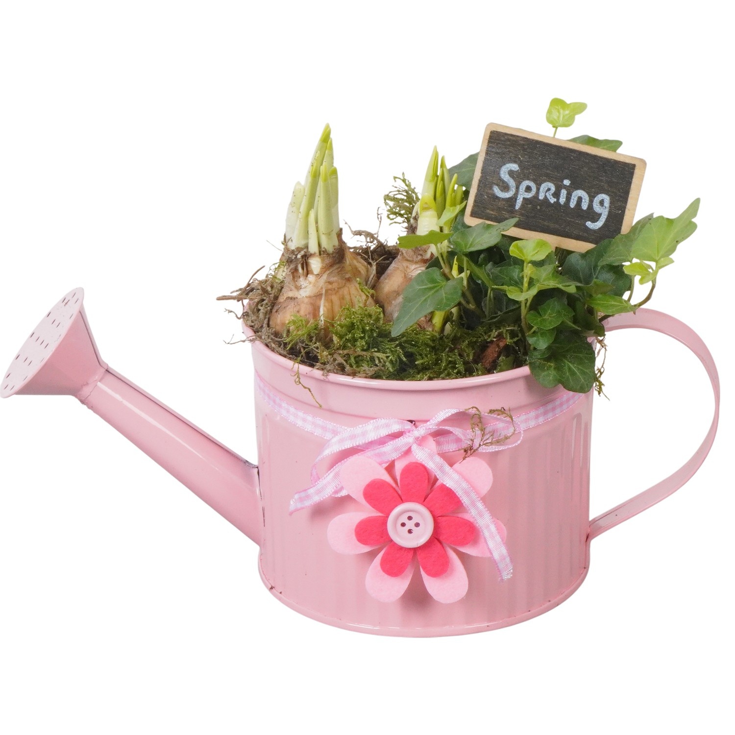 PTBM3741 Arrangement Flower Bulbs Mix in metalen gieter, D 12