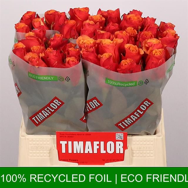 Роза од. Испания 40, шт.