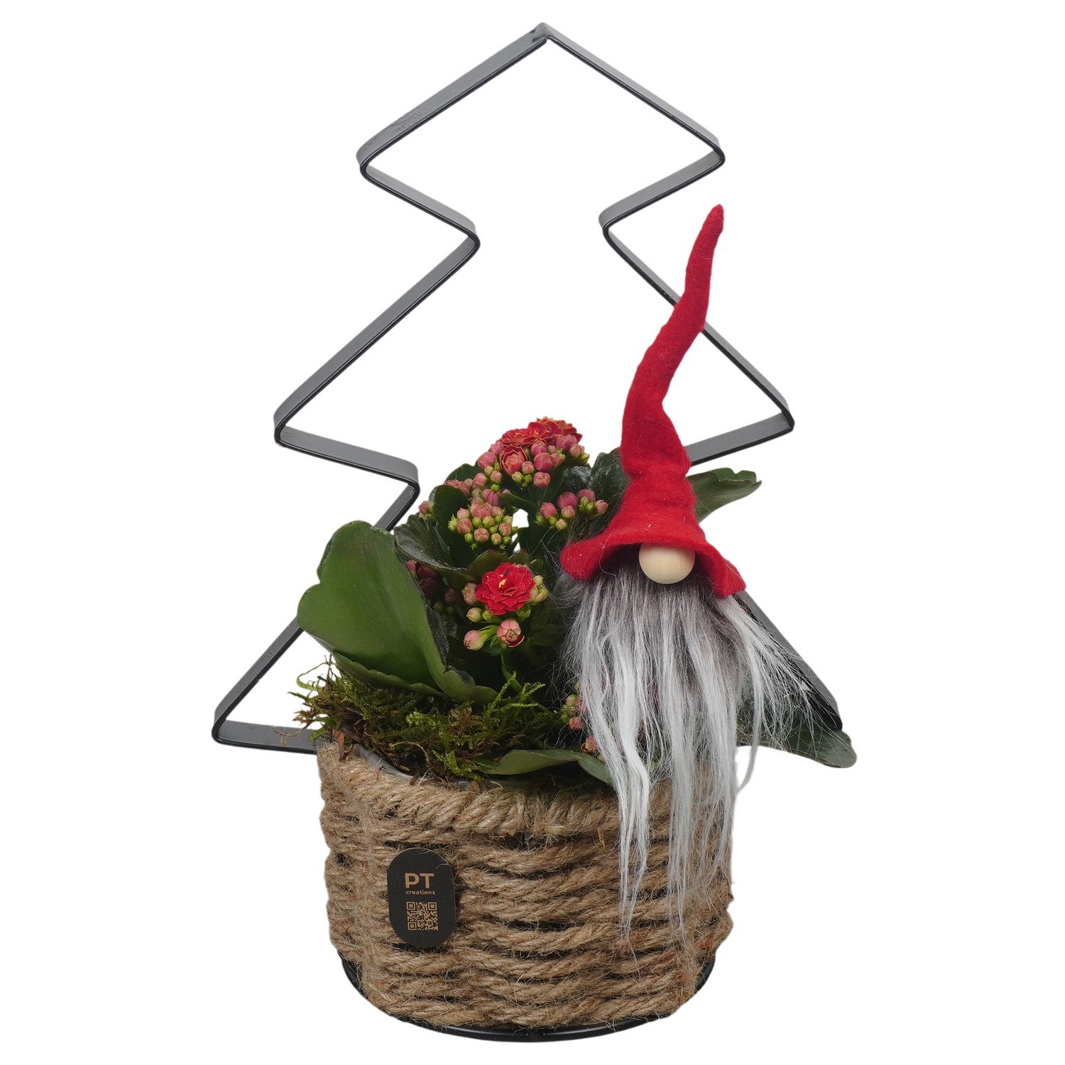 PTCHR9627 Arrangement Christmas Red in touw pot met metaal, D 11