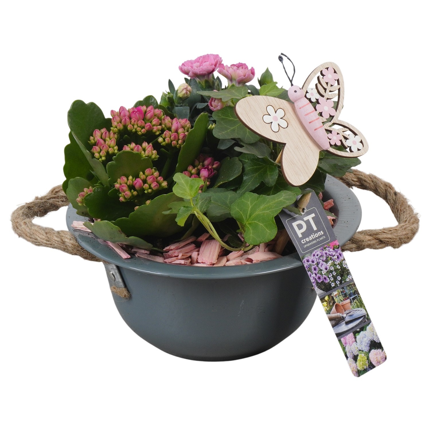 PTPP6838 Arrangement Patio in metalen schaal, D 18