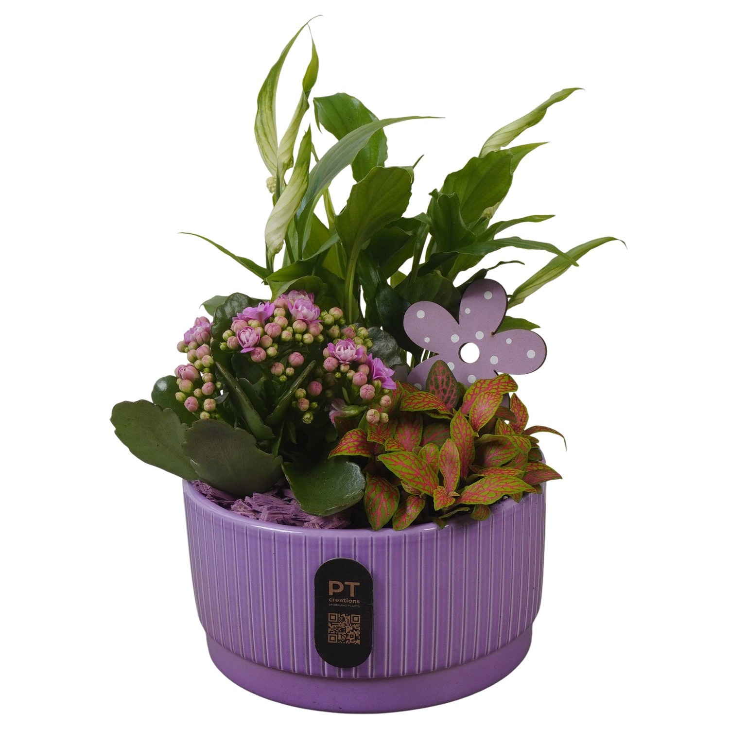 PTIB5101 Arrangement Indoor in keramiek schaal, D 16