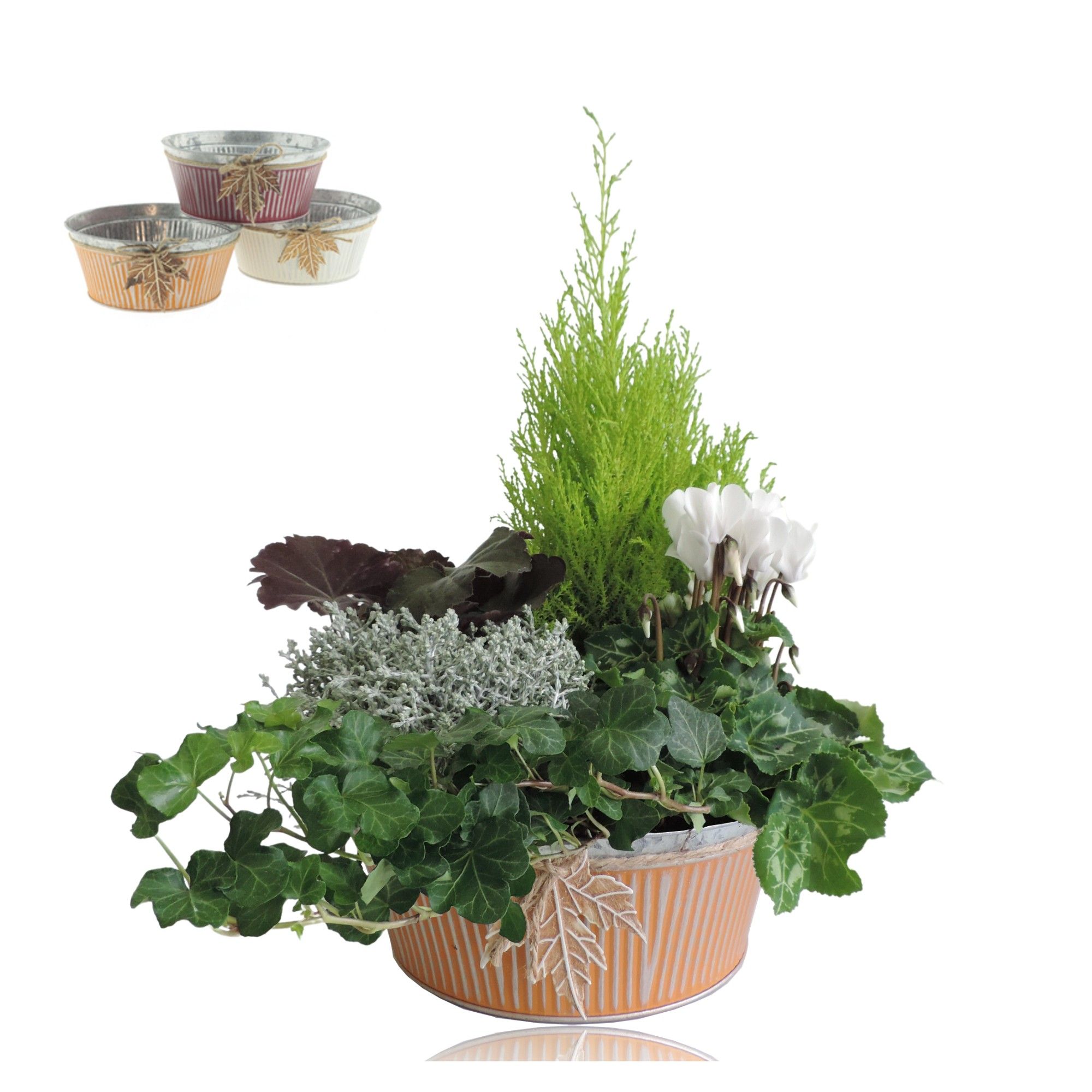 Collectie Autumn Leaf Arrangement in Zinken Schaal 25 cm, D 25