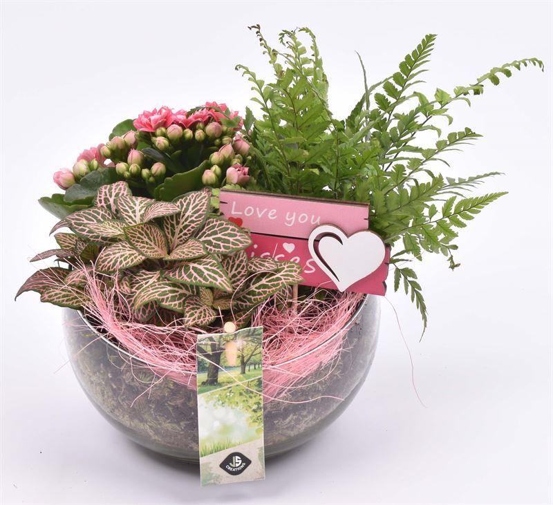 Glas bol schaal schuine top 15cm, D 15