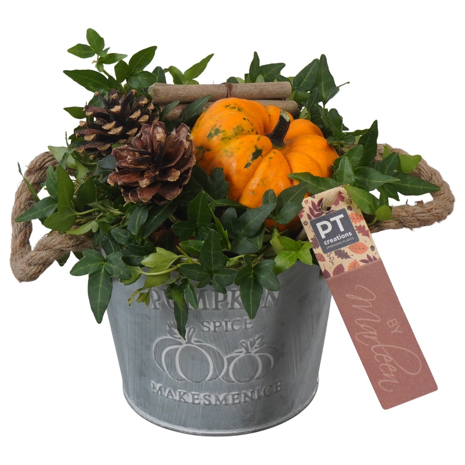 PTSF8222 Arrangement Kalebas hedera in metalen pot, D 14 cm