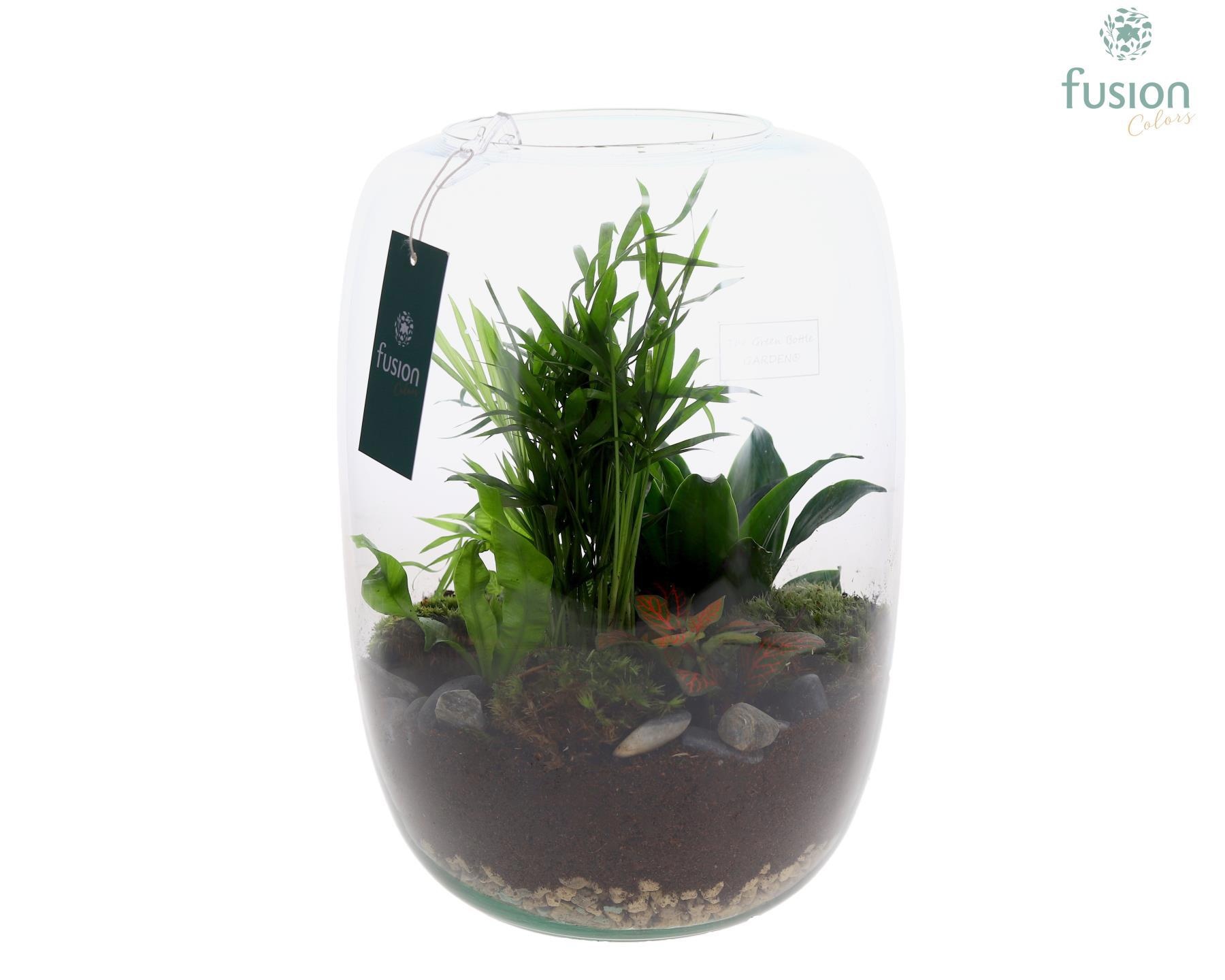 Green Bottle Isabella XLarge met Groene Planten, D 23